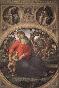 Luca Signorelli Madonna and Child with Prophets Spain oil painting artist